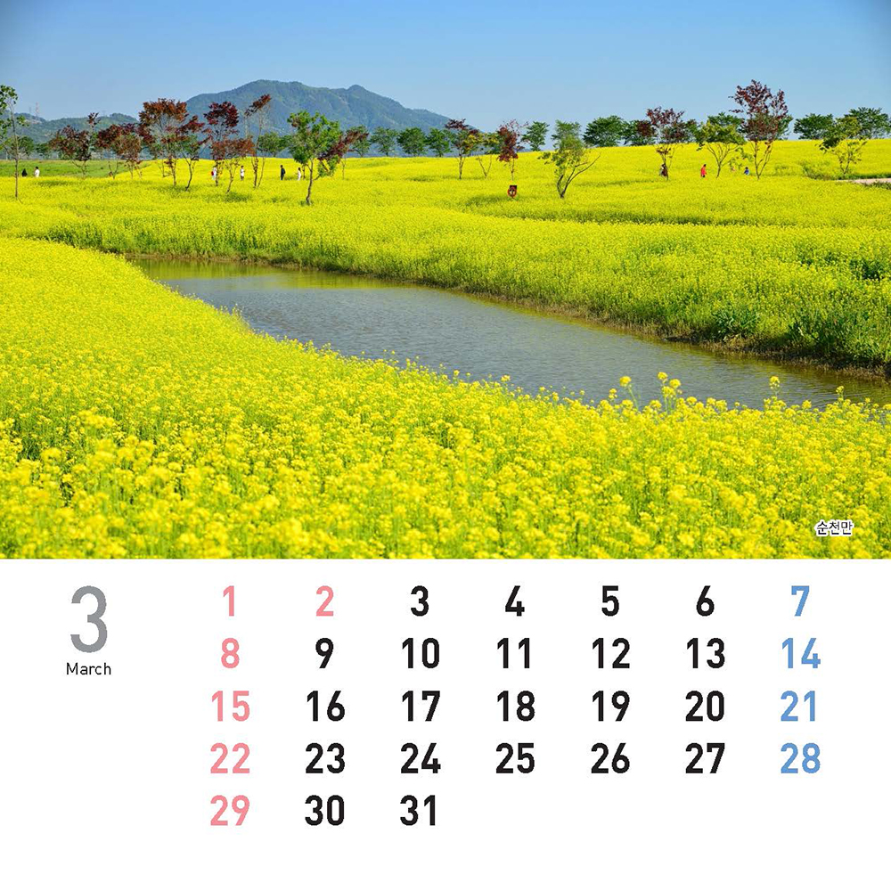 /user/h/hcalendar/editor/2509/155cb31547382a289f709c81eece0b0e_1756886150_7631.jpg 이미지크게보기