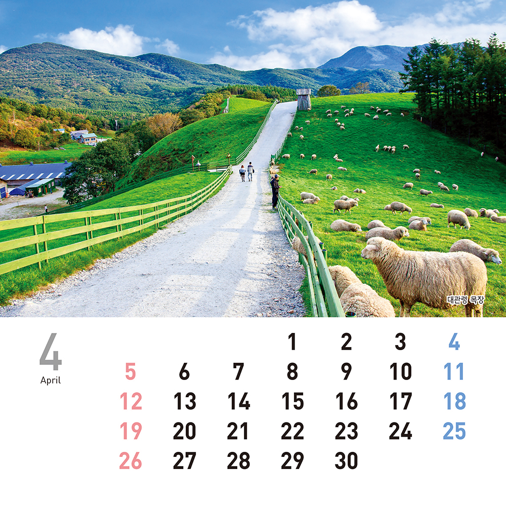 /user/h/hcalendar/editor/2509/155cb31547382a289f709c81eece0b0e_1756886150_9867.jpg 이미지크게보기