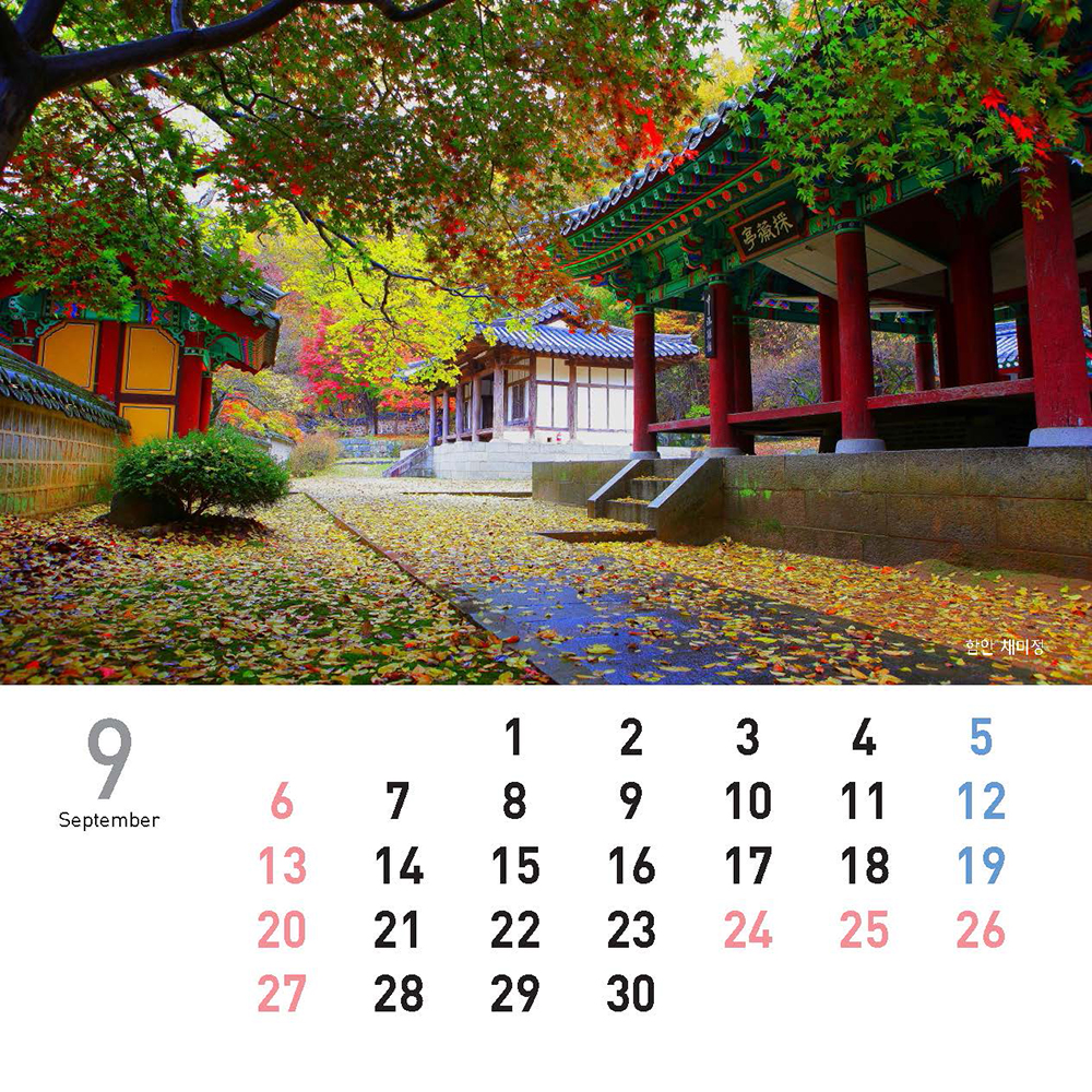 /user/h/hcalendar/editor/2509/155cb31547382a289f709c81eece0b0e_1756886157_349.jpg 이미지크게보기