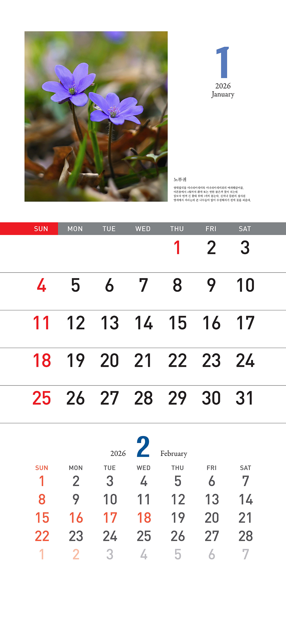 /user/h/hcalendar/editor/2509/155cb31547382a289f709c81eece0b0e_1756899574_0835.jpg 이미지크게보기