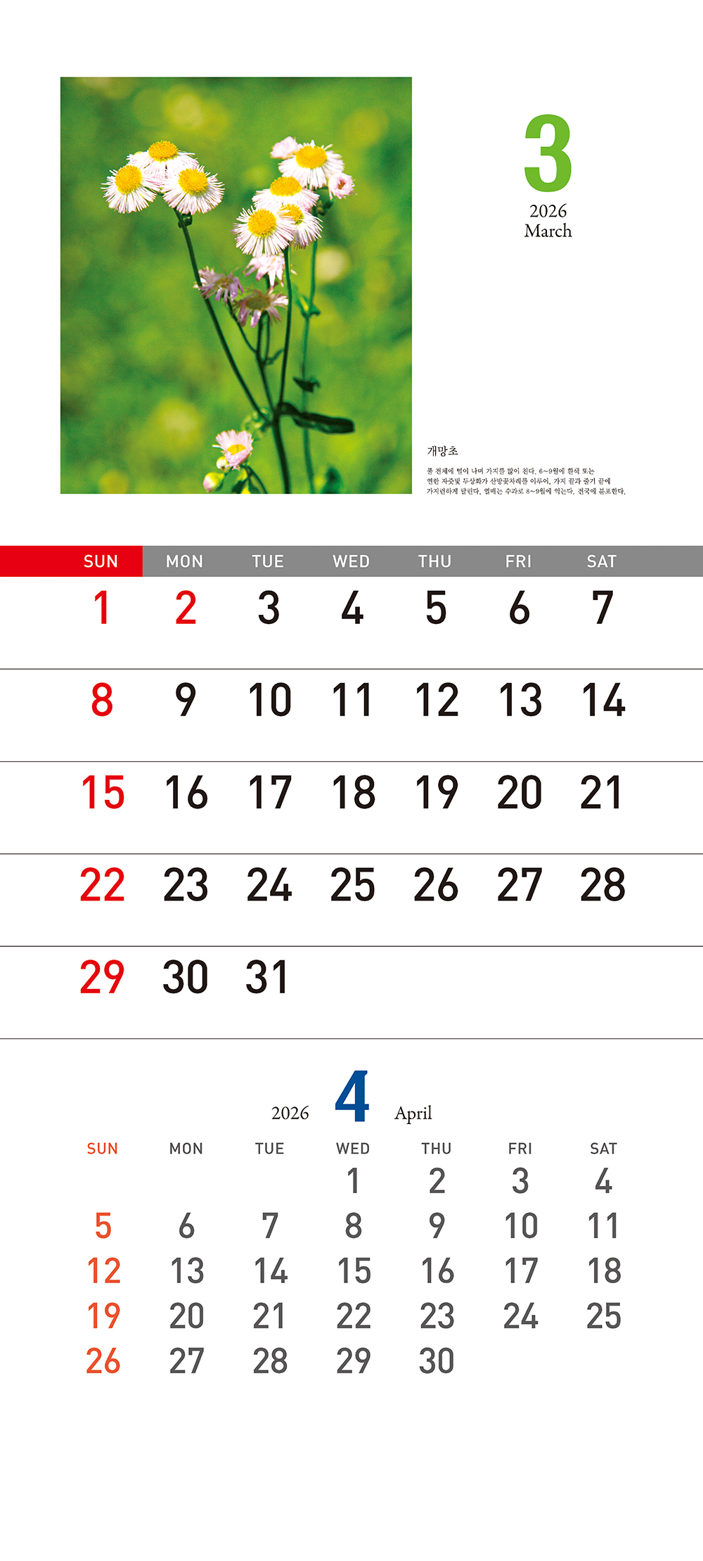 /user/h/hcalendar/editor/2509/155cb31547382a289f709c81eece0b0e_1756899574_5944.jpg 이미지크게보기