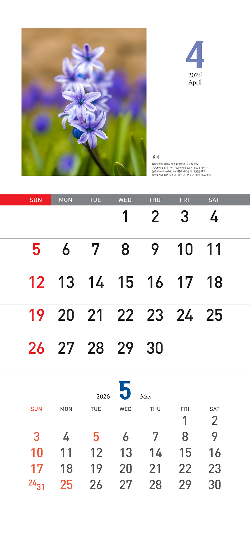 /user/h/hcalendar/editor/2509/155cb31547382a289f709c81eece0b0e_1756899574_7051.jpg 이미지크게보기