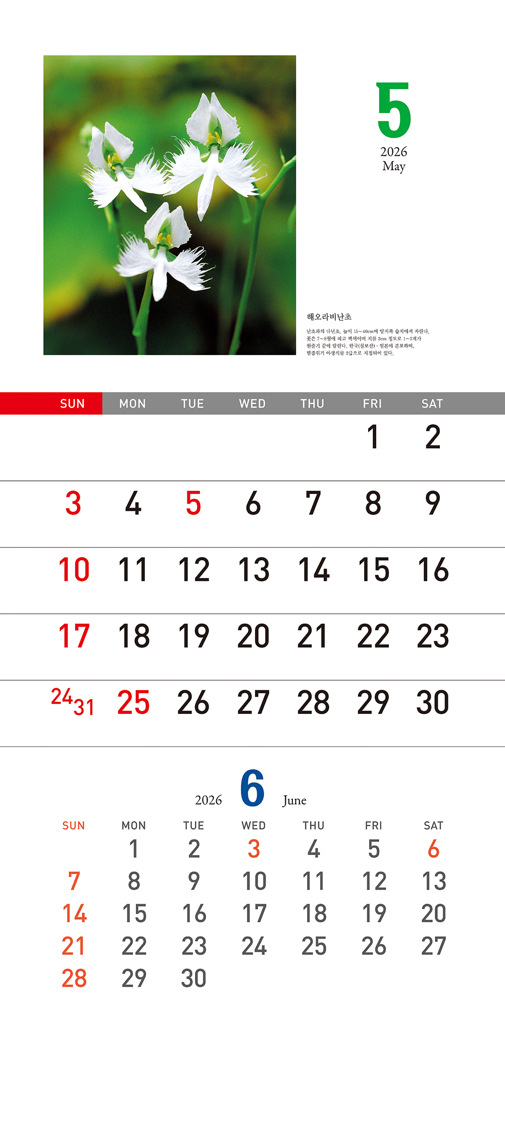 /user/h/hcalendar/editor/2509/155cb31547382a289f709c81eece0b0e_1756899574_8367.jpg 이미지크게보기