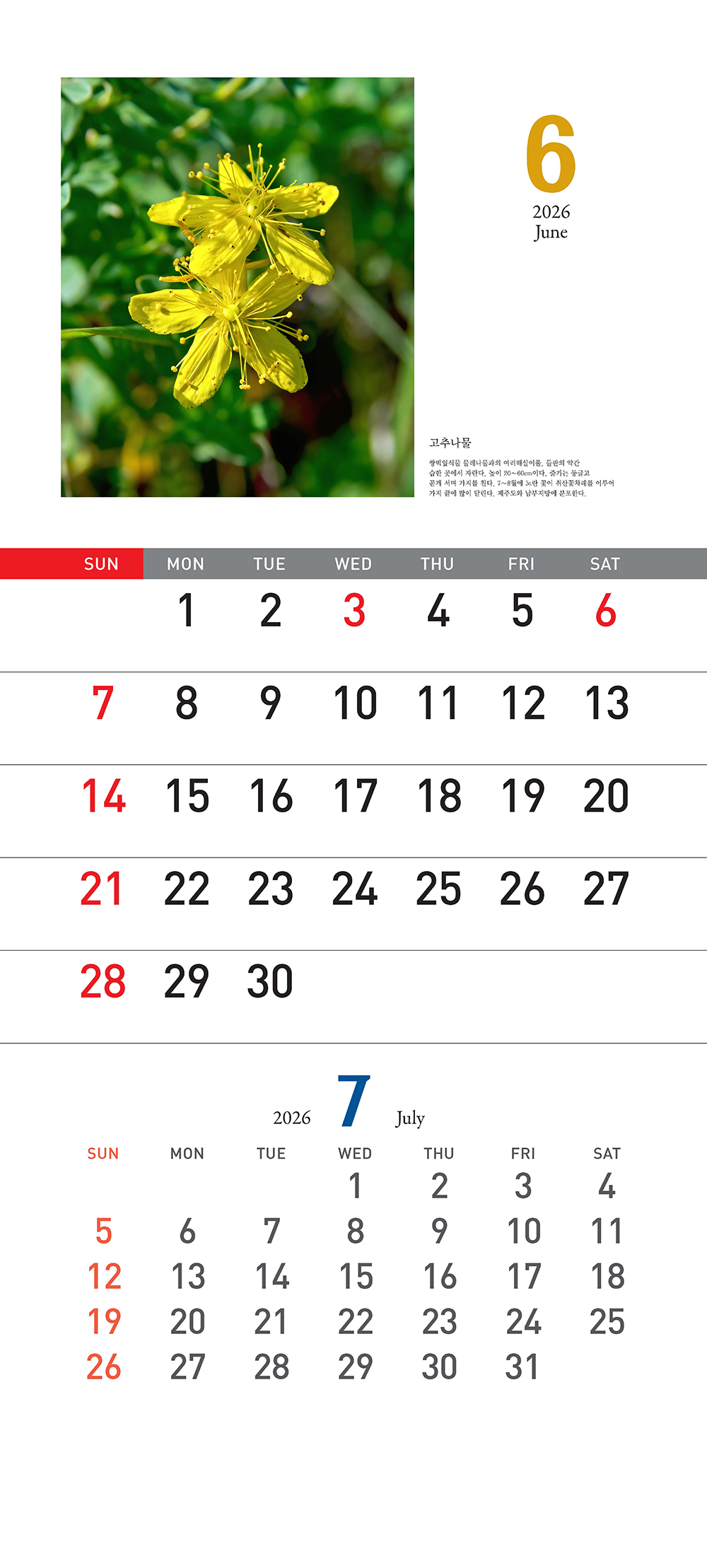 /user/h/hcalendar/editor/2509/155cb31547382a289f709c81eece0b0e_1756899574_9636.jpg 이미지크게보기