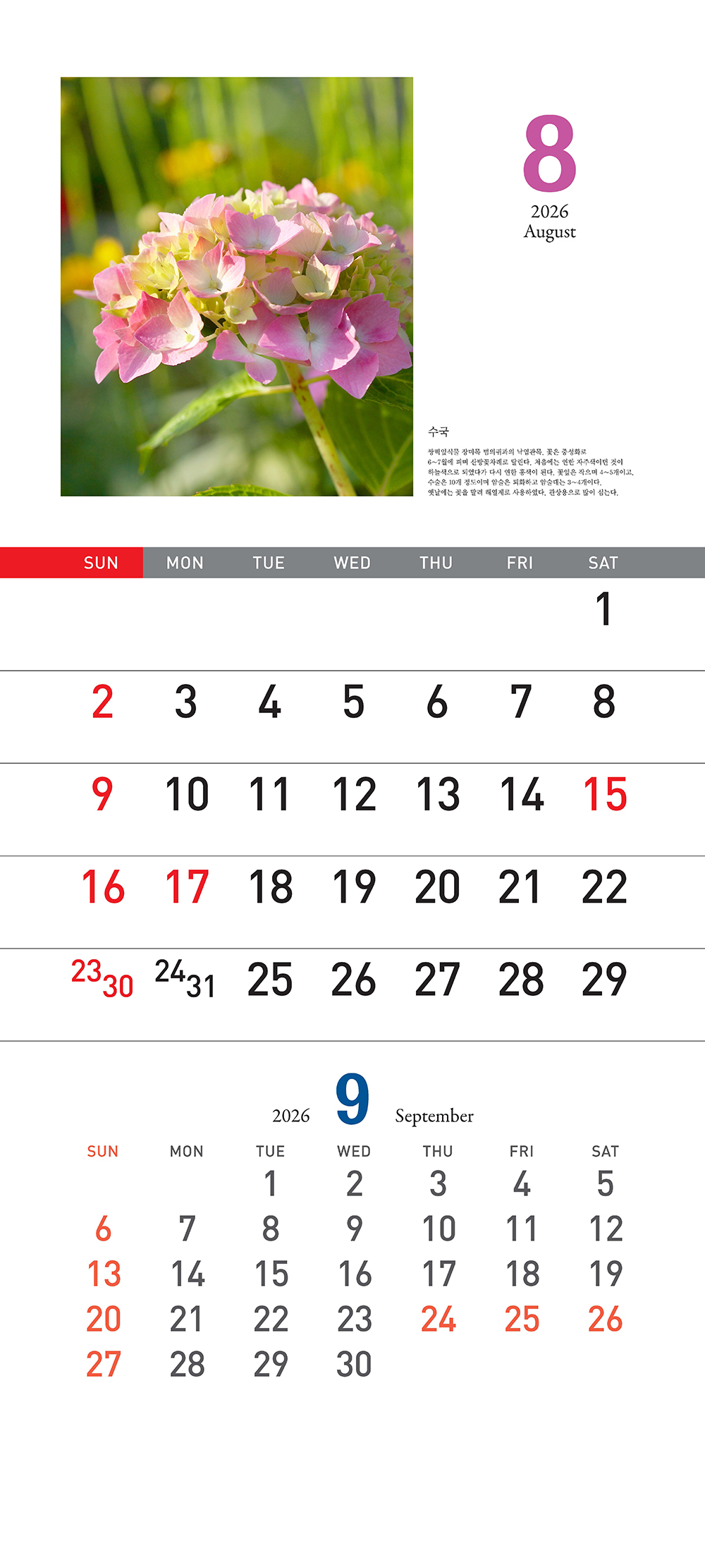 /user/h/hcalendar/editor/2509/155cb31547382a289f709c81eece0b0e_1756899575_1893.jpg 이미지크게보기