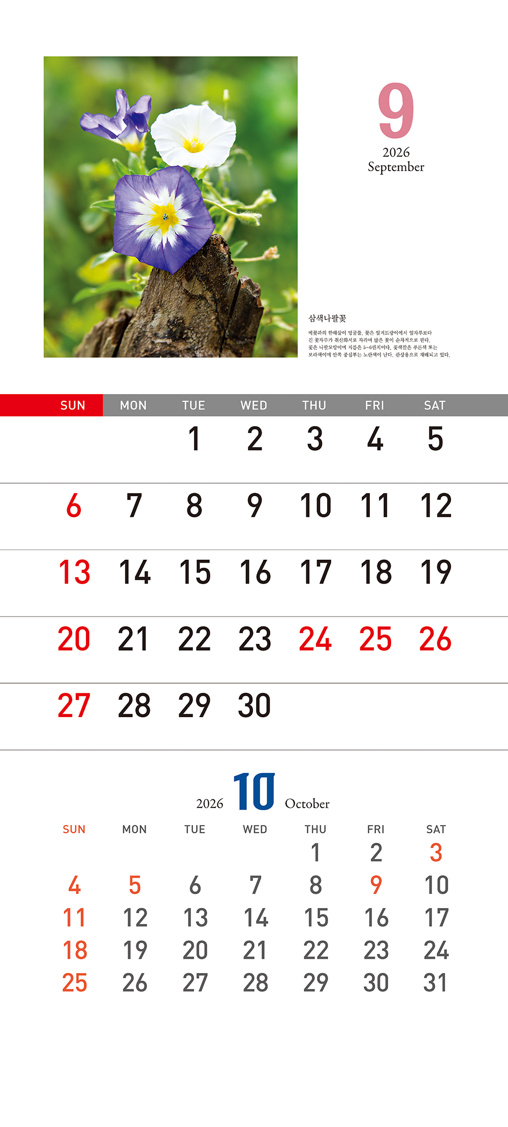 /user/h/hcalendar/editor/2509/155cb31547382a289f709c81eece0b0e_1756899575_31.jpg 이미지크게보기