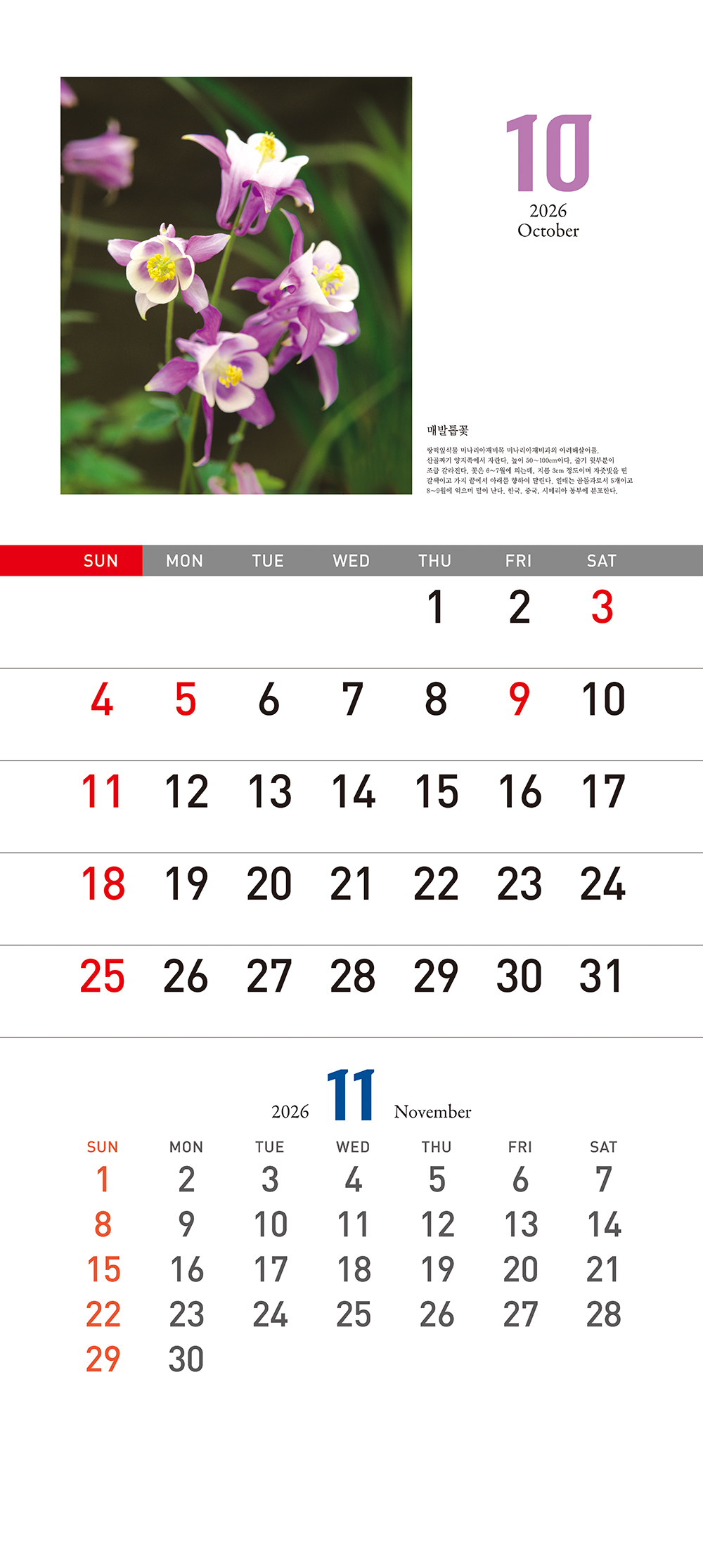 /user/h/hcalendar/editor/2509/155cb31547382a289f709c81eece0b0e_1756899580_0369.jpg 이미지크게보기