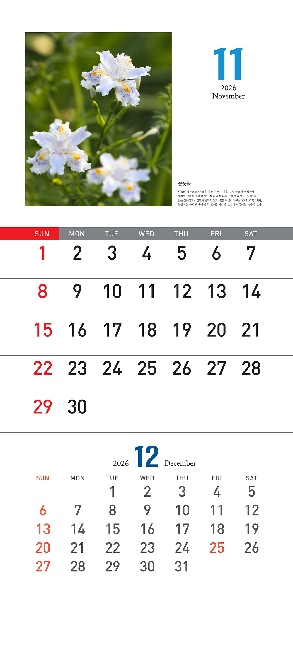 /user/h/hcalendar/editor/2509/155cb31547382a289f709c81eece0b0e_1756899580_157.jpg 이미지크게보기