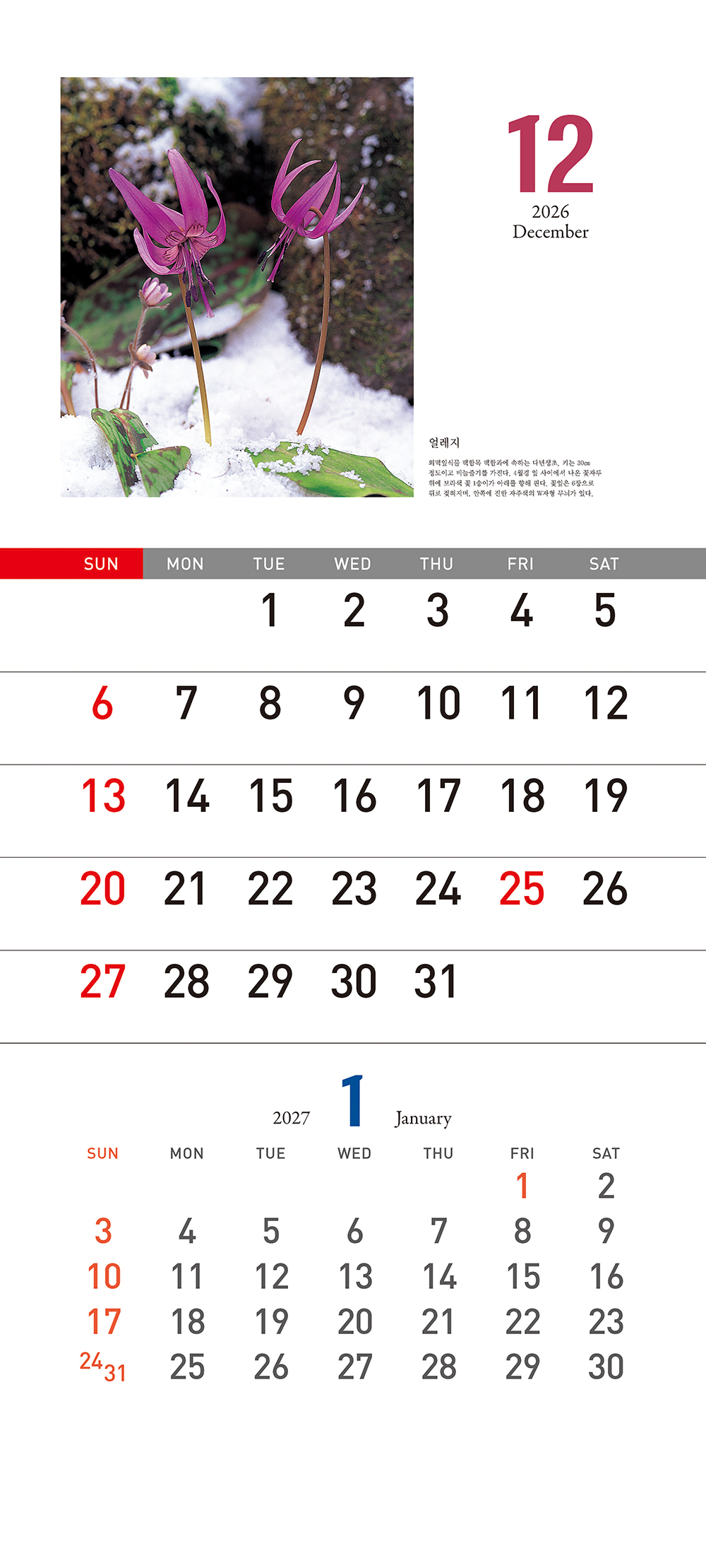 /user/h/hcalendar/editor/2509/155cb31547382a289f709c81eece0b0e_1756899580_2831.jpg 이미지크게보기