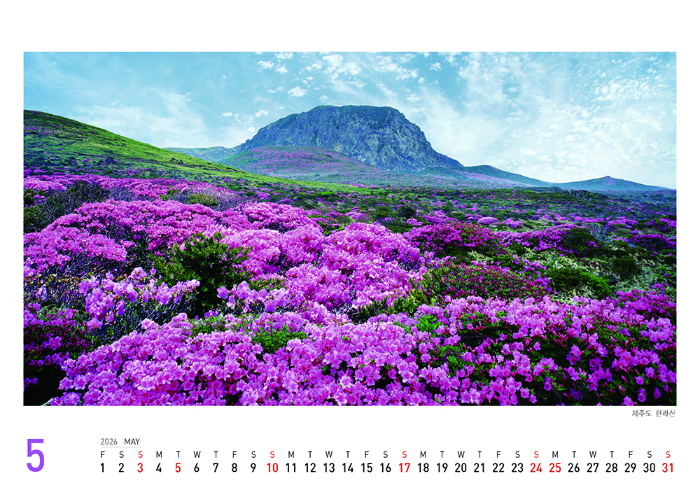 /user/h/hcalendar/editor/2509/155cb31547382a289f709c81eece0b0e_1756906319_0341.jpg 이미지크게보기