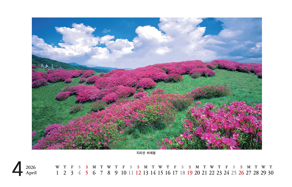 /user/h/hcalendar/editor/2509/8a15f67d0a81a57979feda0be07ea2ad_1757253267_7751.jpg 이미지크게보기