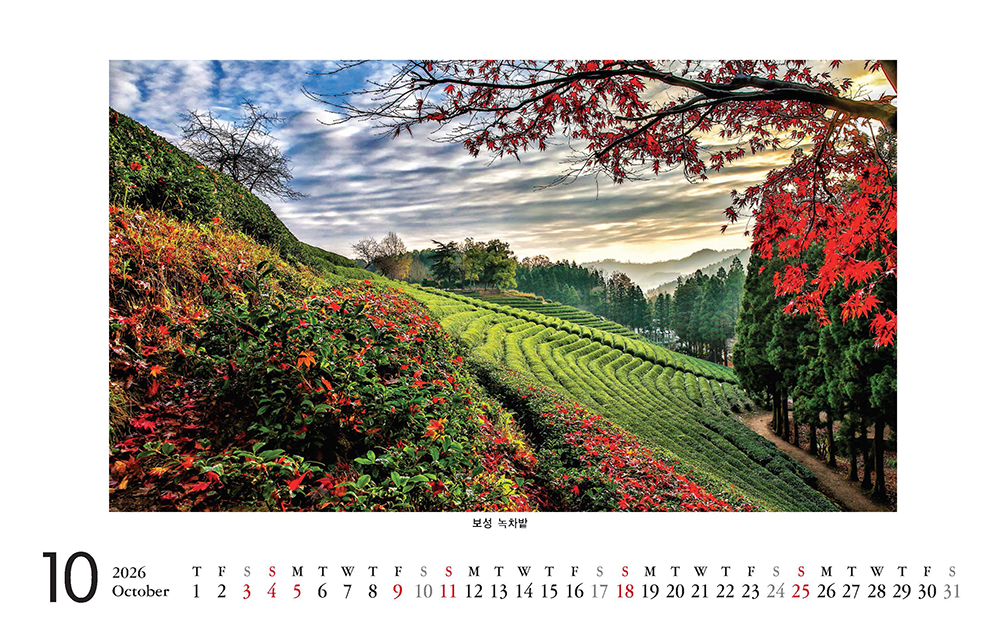 /user/h/hcalendar/editor/2509/8a15f67d0a81a57979feda0be07ea2ad_1757253273_0239.jpg 이미지크게보기