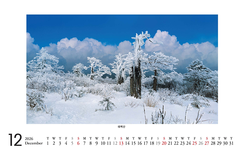 /user/h/hcalendar/editor/2509/8a15f67d0a81a57979feda0be07ea2ad_1757253273_2183.jpg 이미지크게보기