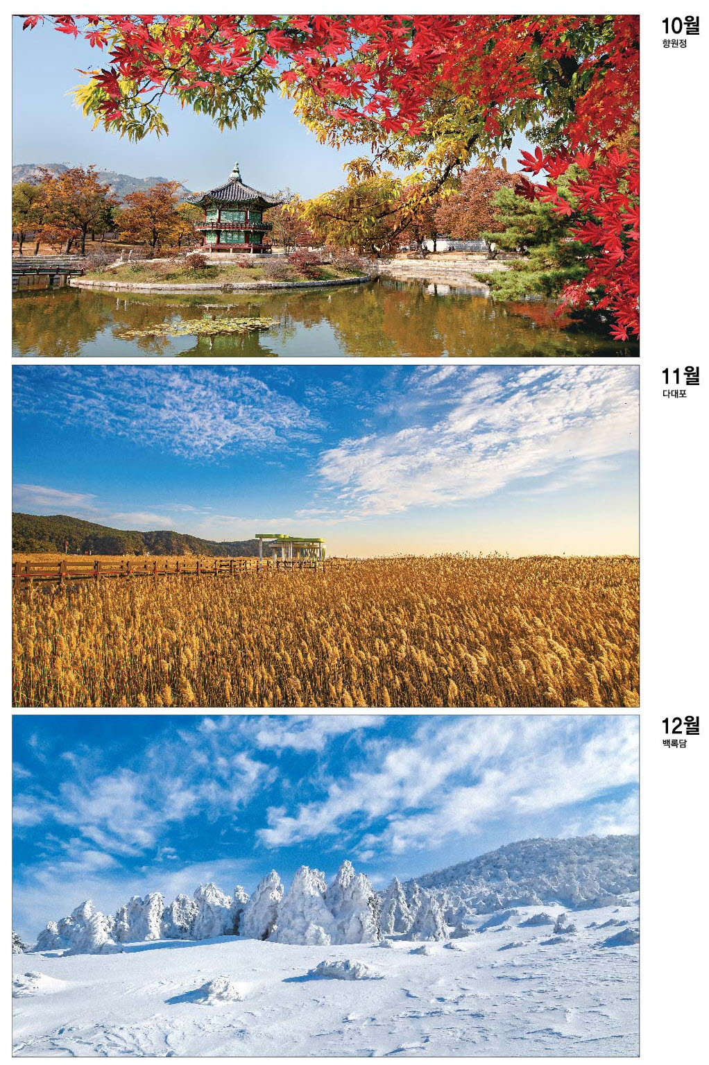 /user/h/hcalendar/editor/2509/d0970a29dfc7aedde19a2f7cdb7fb0d5_1757588387_2725.jpg 이미지크게보기