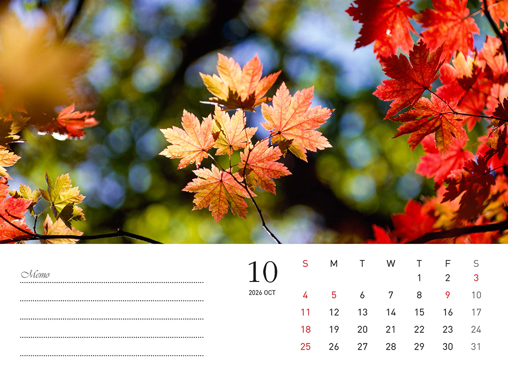 /user/h/hcalendar/editor/2509/fbf3c9bc497834c40cec97e3eed8ff31_1756996876_0516.jpg 이미지크게보기