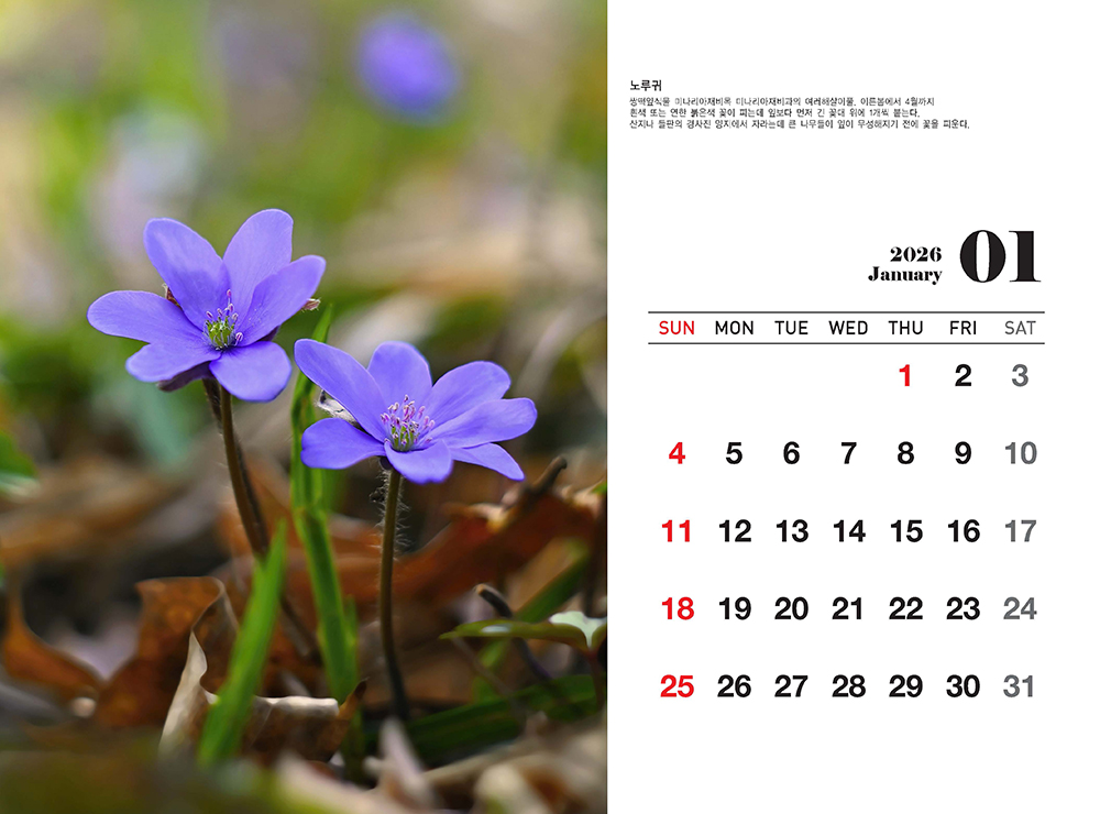 /user/h/hcalendar/editor/2509/fbf3c9bc497834c40cec97e3eed8ff31_1756999354_1504.jpg 이미지크게보기