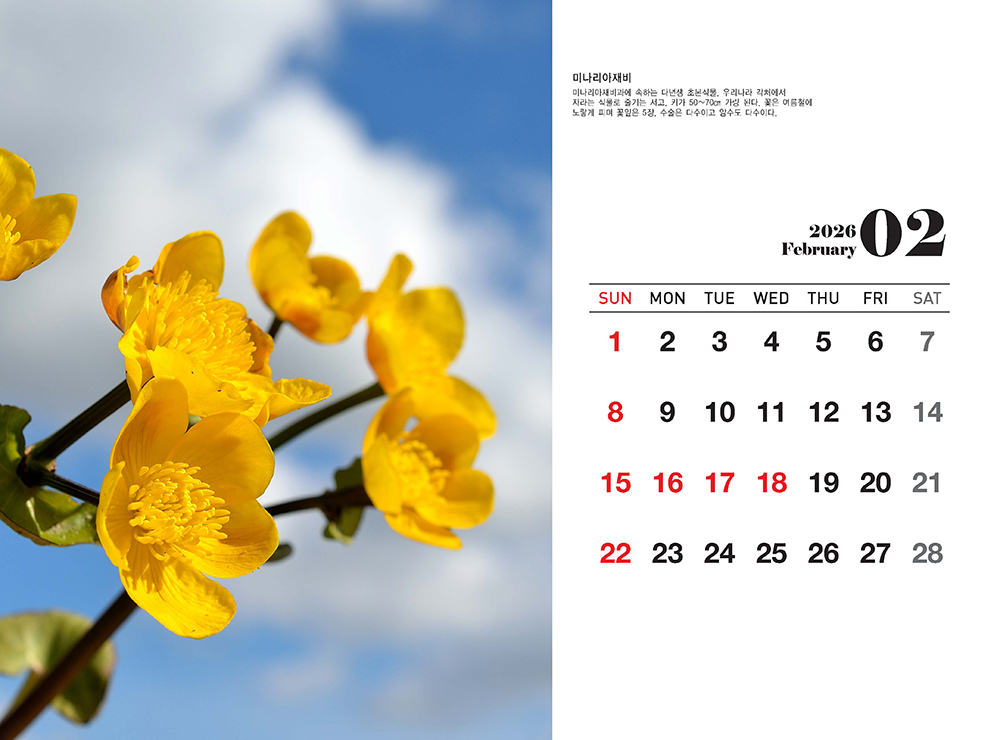 /user/h/hcalendar/editor/2509/fbf3c9bc497834c40cec97e3eed8ff31_1756999354_2505.jpg 이미지크게보기