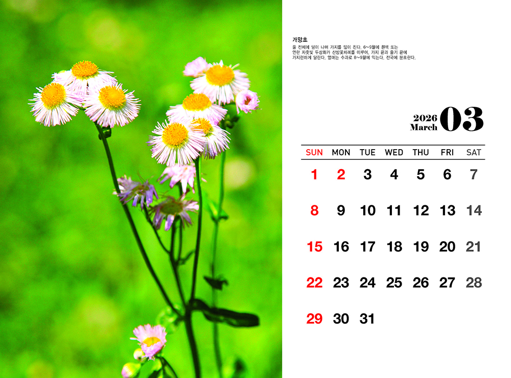/user/h/hcalendar/editor/2509/fbf3c9bc497834c40cec97e3eed8ff31_1756999354_3532.jpg 이미지크게보기