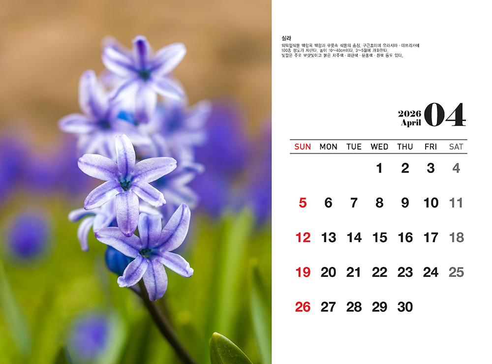 /user/h/hcalendar/editor/2509/fbf3c9bc497834c40cec97e3eed8ff31_1756999354_4634.jpg 이미지크게보기