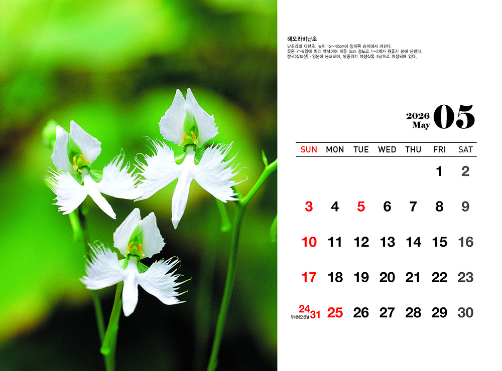 /user/h/hcalendar/editor/2509/fbf3c9bc497834c40cec97e3eed8ff31_1756999360_8425.jpg 이미지크게보기