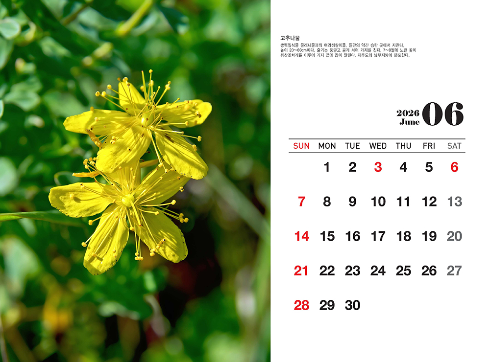 /user/h/hcalendar/editor/2509/fbf3c9bc497834c40cec97e3eed8ff31_1756999360_9593.jpg 이미지크게보기