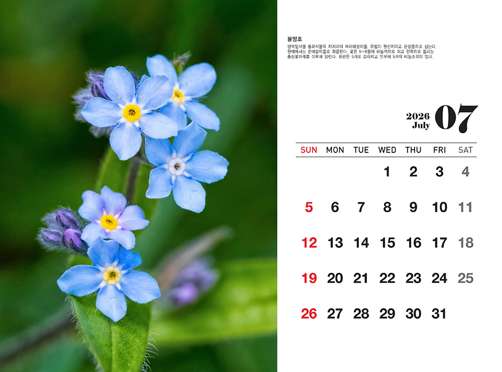 /user/h/hcalendar/editor/2509/fbf3c9bc497834c40cec97e3eed8ff31_1756999361_0513.jpg 이미지크게보기