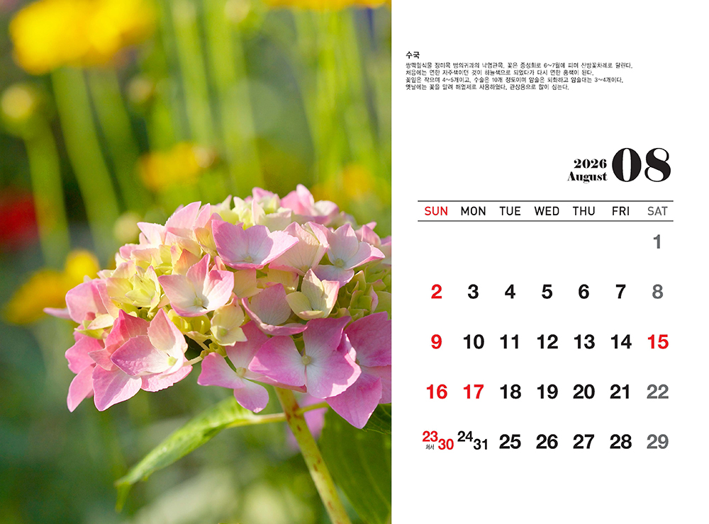 /user/h/hcalendar/editor/2509/fbf3c9bc497834c40cec97e3eed8ff31_1756999361_1641.jpg 이미지크게보기