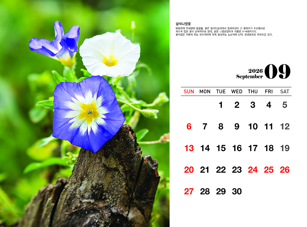 /user/h/hcalendar/editor/2509/fbf3c9bc497834c40cec97e3eed8ff31_1756999361_2769.jpg 이미지크게보기