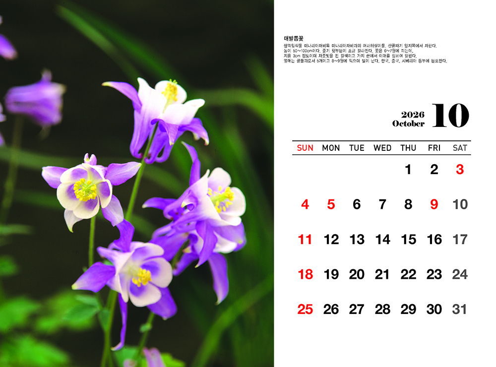 /user/h/hcalendar/editor/2509/fbf3c9bc497834c40cec97e3eed8ff31_1756999361_3938.jpg 이미지크게보기