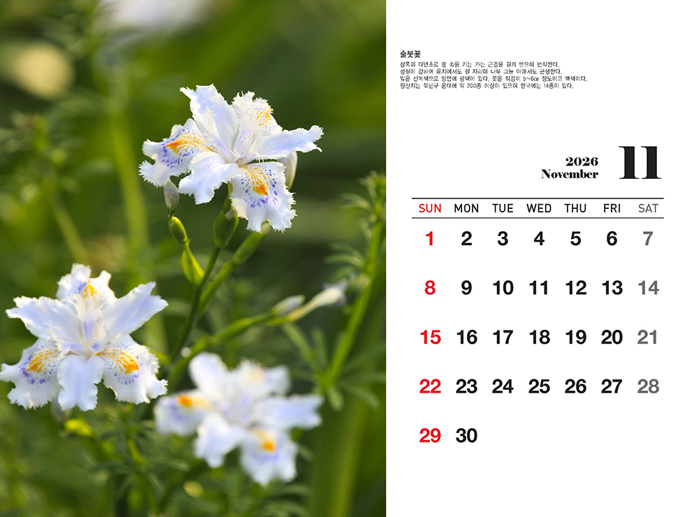 /user/h/hcalendar/editor/2509/fbf3c9bc497834c40cec97e3eed8ff31_1756999361_4997.jpg 이미지크게보기