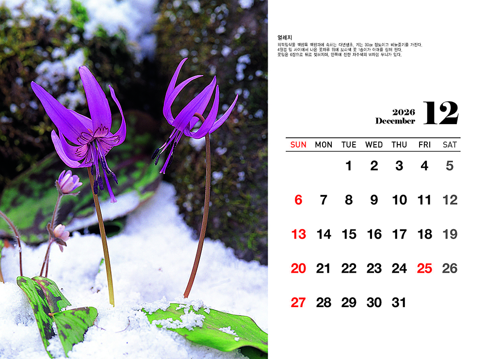 /user/h/hcalendar/editor/2509/fbf3c9bc497834c40cec97e3eed8ff31_1756999361_6325.jpg 이미지크게보기