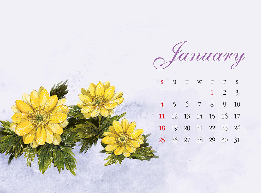 /user/h/hcalendar/editor/2509/fbf3c9bc497834c40cec97e3eed8ff31_1756999473_5857.jpg 이미지크게보기